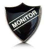 Image result for monitor badges