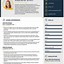 Image result for Resume Layout Examples