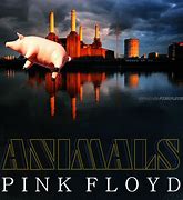 Image result for Pink Floyd Animals Poster