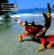 Image result for Prodigy Album Cover