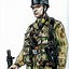 Image result for German Paratroopers WW2 Normandy Uniform