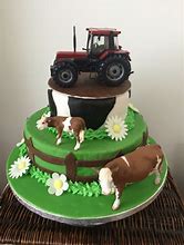 Image result for Farmer Birthday Cake