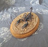 Image result for Mounted Scorpions