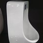 Image result for Waterless Urinal for Garage