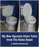 Image result for 19 High Toilet Home Depot