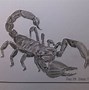 Image result for realistic scorpions draw