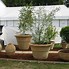 Image result for large plant pots clearance