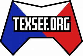 Image result for texas logo