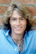 Image result for Andy Gibb Biography Bee Gees