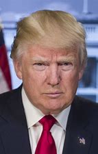 Image result for images president donald trump