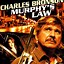 Image result for Murphy's Law DVD