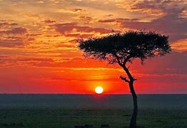 Image result for Afrika Foto