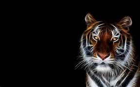 Image result for Cool Tiger Wallpapers Small