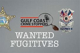 Image result for DC Most Wanted Fugitives