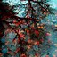 Image result for Kindle Fire Fall Background