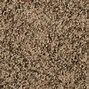 Image result for Empire Carpet Sample Colors