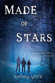 Image result for Remember the Stars Book