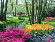 Image result for Home Garden GIF