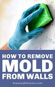 Image result for Cleaning Mold On Bathroom Walls