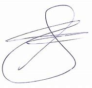 Image result for Signature in Blue Pen