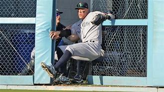 Image result for Aaron Judge Catch