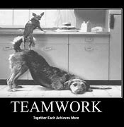 Image result for Sarcastic Short Quotes On Teamwork