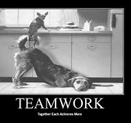 Image result for Funny Teamwork Quotes for Workplace