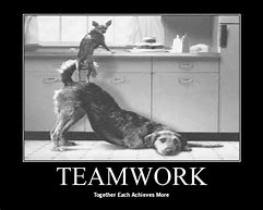 Image result for Teamwork Quotes for the Workplace Humor