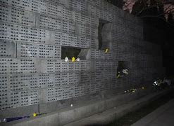 Image result for Nanjing Massacre Memorial Location