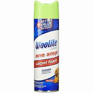 Image result for Woolite One Step Foam Carpet Cleaner | 08213