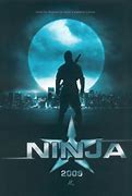 Image result for Ninja Movie Comedy