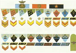 Image result for Red Army Ranks