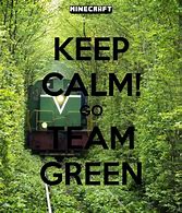 Image result for Keep Calm and Say Go Team