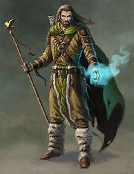 Image result for Human Druid Wizard