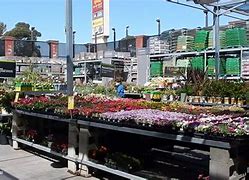 Image result for Home Depot Nursery Garden Center Lawn Sweepers