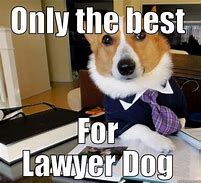 Image result for Hurted Dog Lawyer Meme