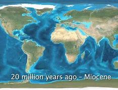 Image result for 30 Million Years Ago