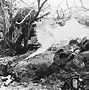 Image result for Iwo Jima Trench