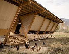 Image result for Chicken Home