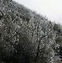 Image result for Hiking Junipero Serra Peak