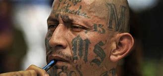 Image result for Most Dangerous Gangs