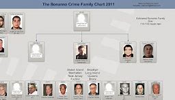 Image result for Bonanno Family Chart