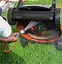 Image result for Worx Lawn Mowers Battery Powered