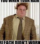 Image result for Chris Farley That Is Correct Meme