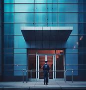 Image result for Professional Security Guard