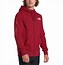 Image result for North Face Full Zip Hoodie with Lace