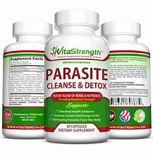 Image result for Parasite Cleanse Detox