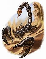 Image result for Giant Scorpion Art
