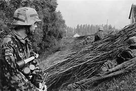 Image result for Waffen-SS