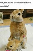 Image result for Super Cute Baby Animals Memes